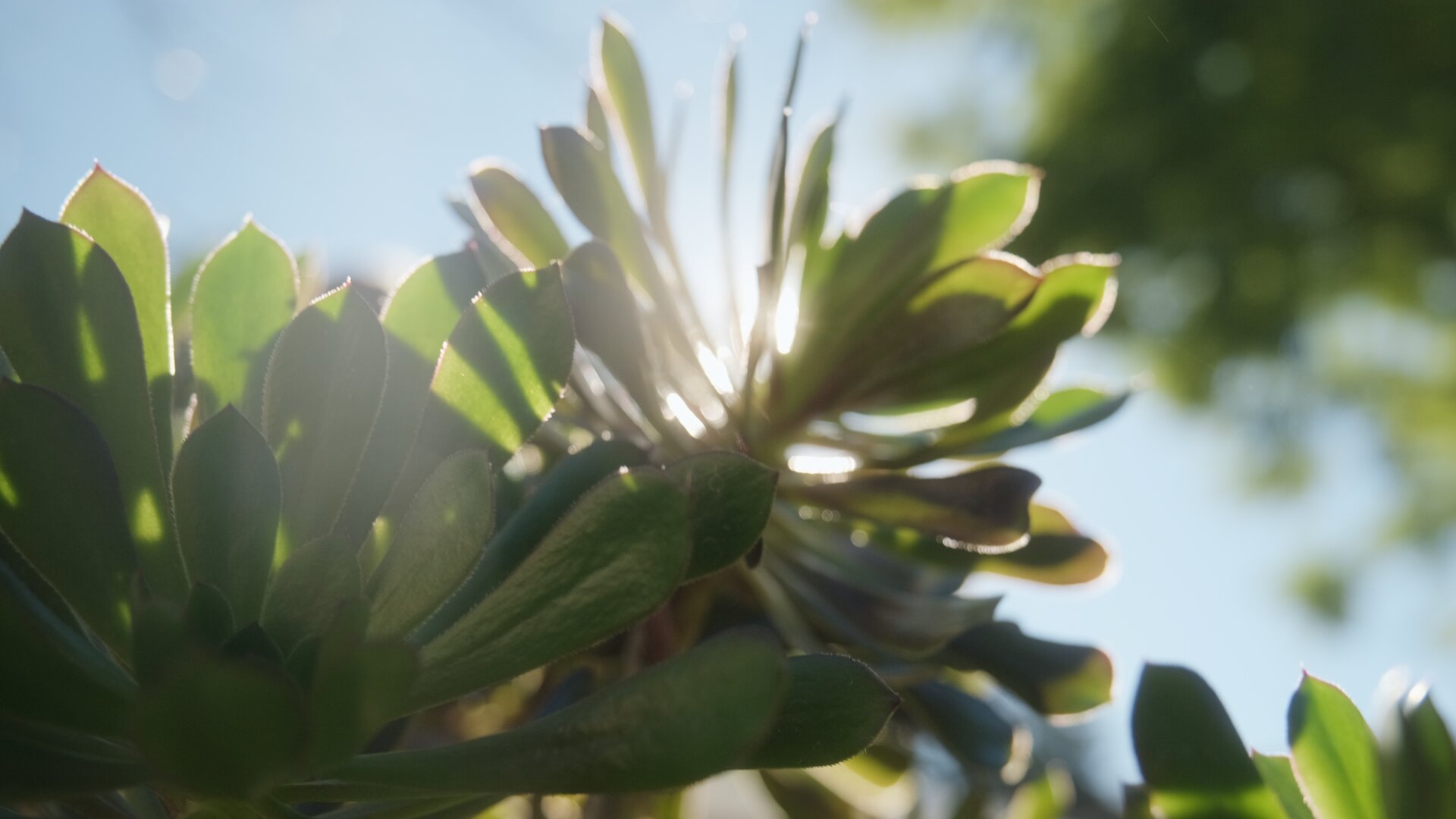 LUT预设–富士相机F-LOG/2转REC.709及进阶调色预设 FUJIFILM F-LOG/2 TO REC.709 V2 插件预设 第5张-素材湾丨精选海外优质设计素材资源 LUT预设–富士相机F-LOG/2转REC.709及进阶调色预设 FUJIFILM F-LOG/2 TO REC.709 V2 插件预设 sucaiwan.com