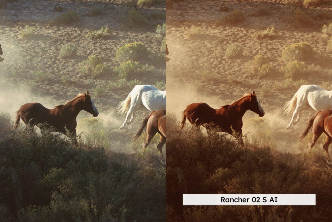 20组西方怀旧农场乡村景观电影摄影照片调色LR&LUTS预设包 20 Western Lightroom Presets and LUTs 插件预设 sucaiwan.com