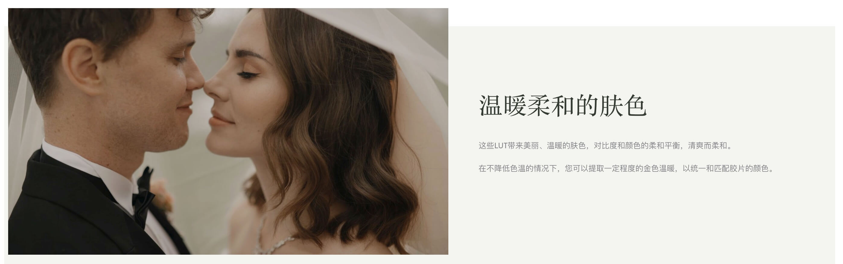 LUT预设-6款高级优雅大师级婚礼MV影片专用胶片大地色腮红调色预设 Gamut Hestia LUTs by Russell Kent Nicholls , sucaiwan.com