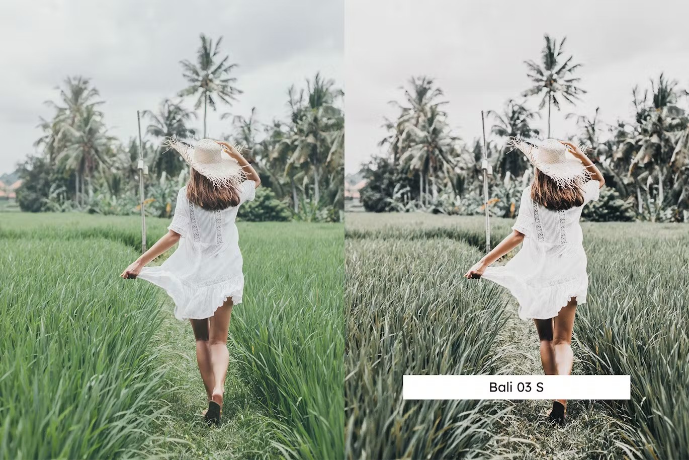 时尚牛油果绿旅拍摄影后期Lightroom预设及电影调色LUT预设 20 Avocado Lightroom Presets & LUTs , sucaiwan.com