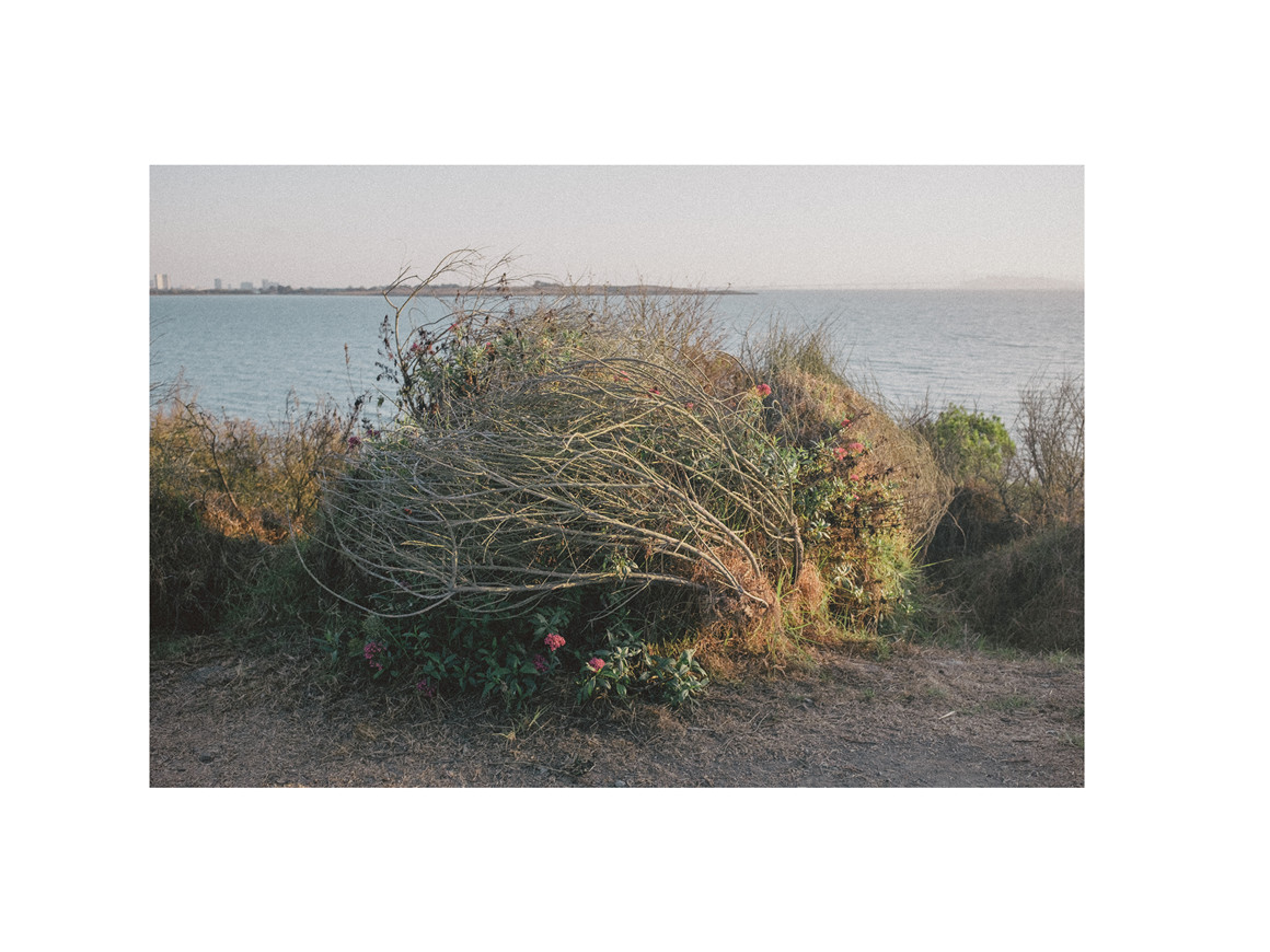 怀旧氛围感柯达富士胶片模拟色调纹理LR调色预设 Alex Ruskman – Analog Film Lightroom Presets , 第5张-素材湾丨精选海外优质设计素材资源 怀旧氛围感柯达富士胶片模拟色调纹理LR调色预设 Alex Ruskman – Analog Film Lightroom Presets , sucaiwan.com