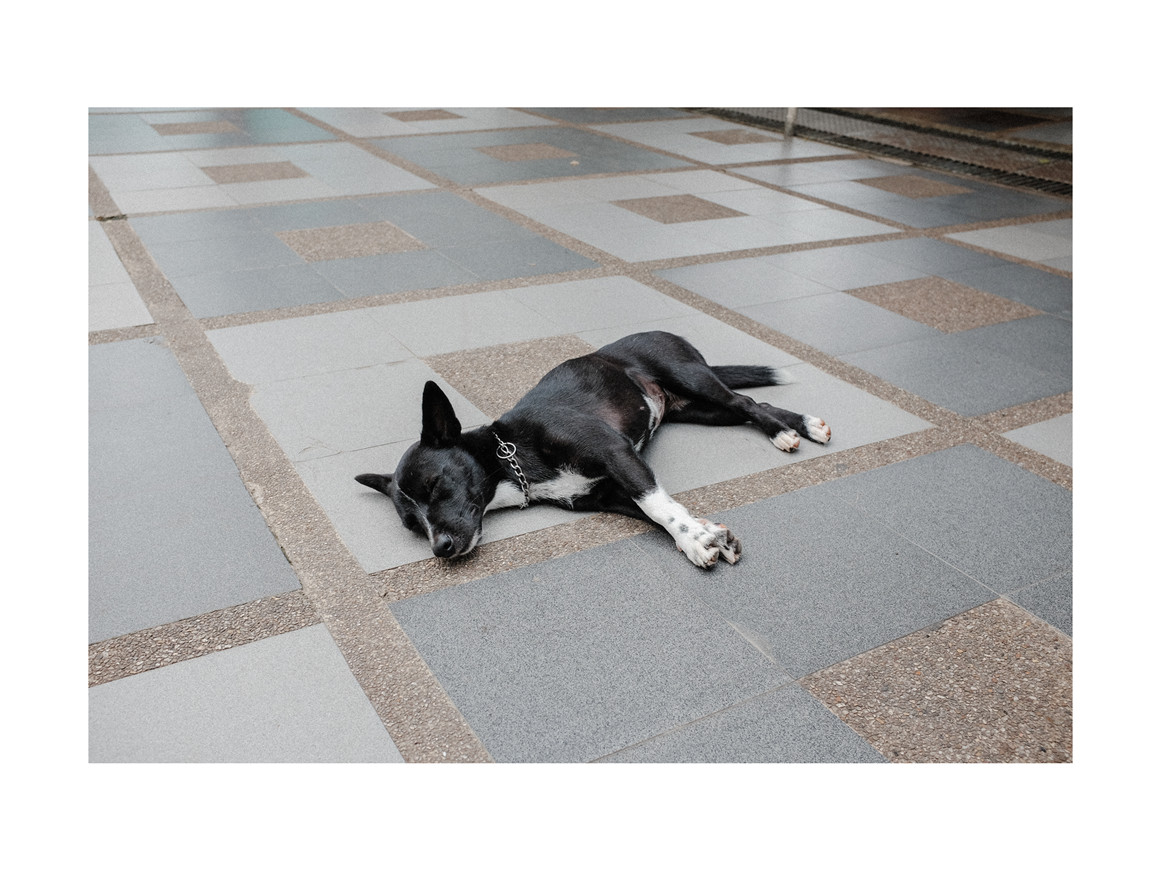 怀旧氛围感柯达富士胶片模拟色调纹理LR调色预设 Alex Ruskman – Analog Film Lightroom Presets , 第6张-素材湾丨精选海外优质设计素材资源 怀旧氛围感柯达富士胶片模拟色调纹理LR调色预设 Alex Ruskman – Analog Film Lightroom Presets , sucaiwan.com