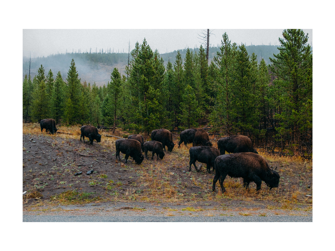 怀旧氛围感柯达富士胶片模拟色调纹理LR调色预设 Alex Ruskman – Analog Film Lightroom Presets , 第7张-素材湾丨精选海外优质设计素材资源 怀旧氛围感柯达富士胶片模拟色调纹理LR调色预设 Alex Ruskman – Analog Film Lightroom Presets , sucaiwan.com