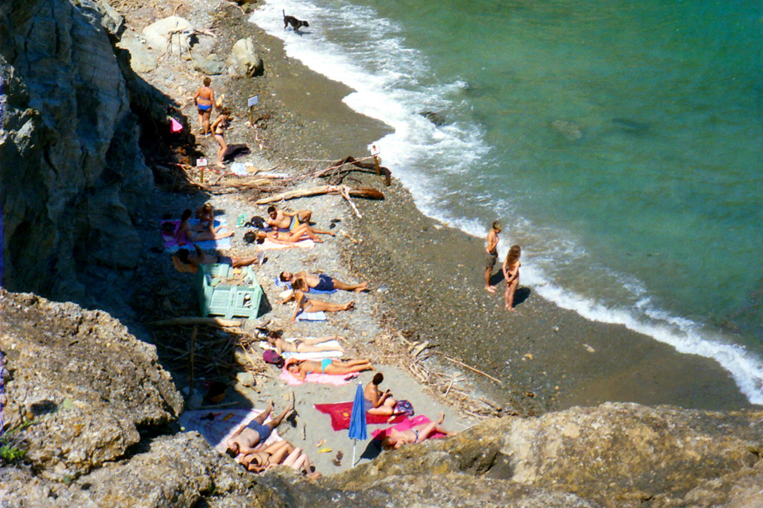 1936老式原始相机胶片冷色调LUT调色预设 ANDP - Agfacolor Neu (1936) , sucaiwan.com