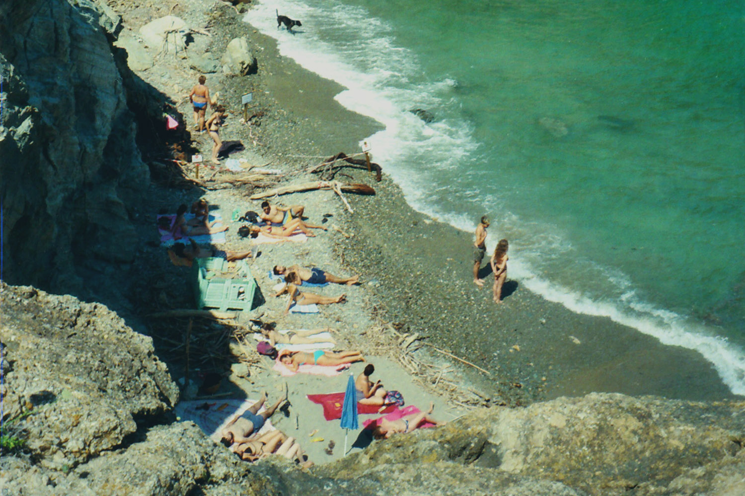 1936老式原始相机胶片冷色调LUT调色预设 ANDP - Agfacolor Neu (1936) , sucaiwan.com