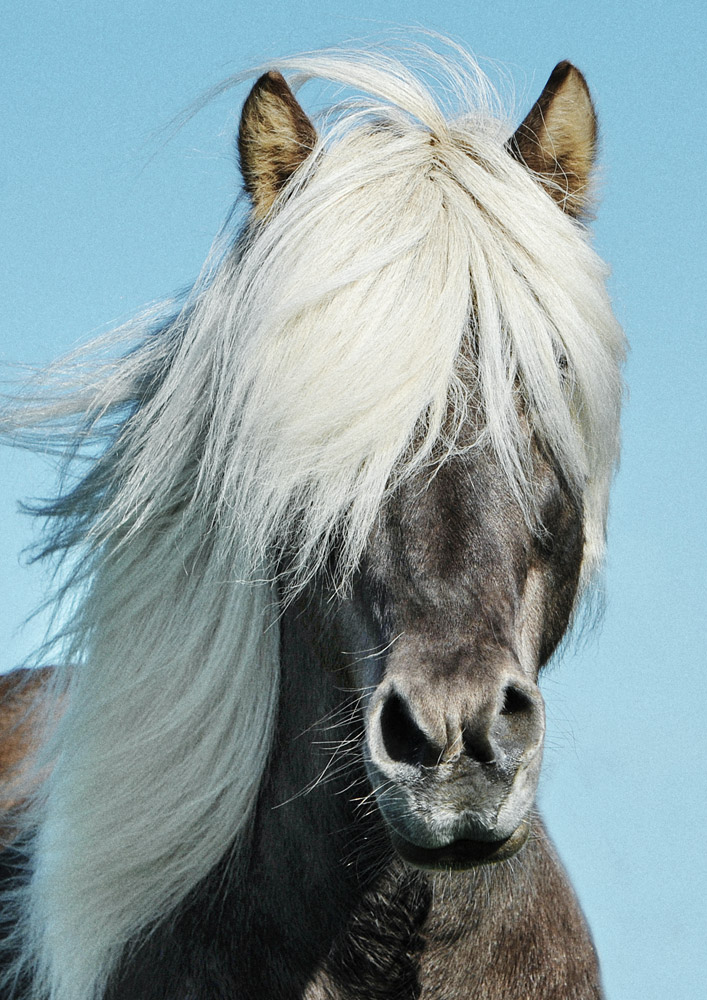 飞思预设:真实富士柯达宝丽来胶片模拟电影美学颗粒风格Capture One预设 RNI All Films 4 Pro for Capture One / C1 , 第16张-素材湾丨精选海外优质设计素材资源 飞思预设:真实富士柯达宝丽来胶片模拟电影美学颗粒风格Capture One预设 RNI All Films 4 Pro for Capture One / C1 , sucaiwan.com