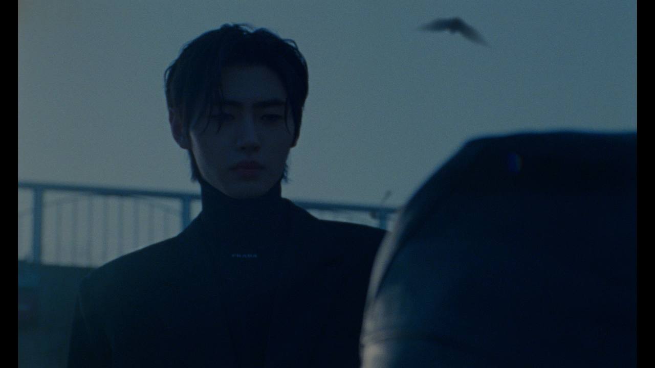 复古电影胶片色彩分级颗粒光晕模拟工具 Dehancer Pro OFX for AE/PR V7.1.1 Win/Mac破解版 插件预设 第4张-素材湾丨精选海外优质设计素材资源 复古电影胶片色彩分级颗粒光晕模拟工具 Dehancer Pro OFX for AE/PR V7.1.1 Win/Mac破解版 插件预设 sucaiwan.com