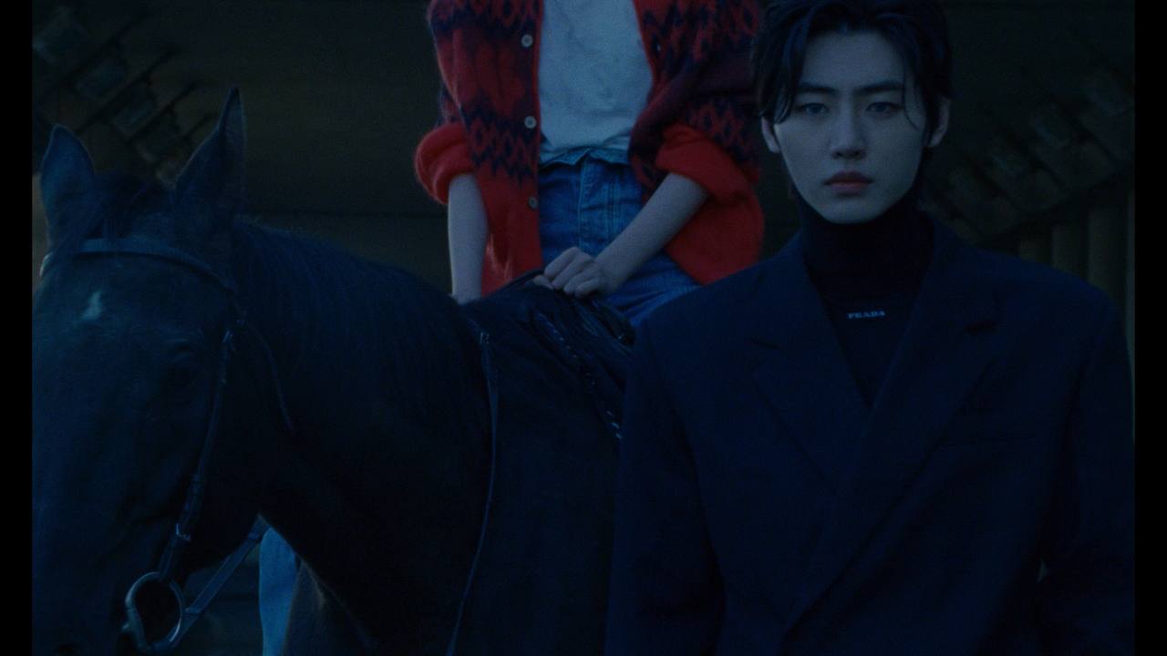 复古电影胶片色彩分级颗粒光晕模拟工具 Dehancer Pro OFX for AE/PR V7.1.1 Win/Mac破解版 插件预设 第5张-素材湾丨精选海外优质设计素材资源 复古电影胶片色彩分级颗粒光晕模拟工具 Dehancer Pro OFX for AE/PR V7.1.1 Win/Mac破解版 插件预设 sucaiwan.com