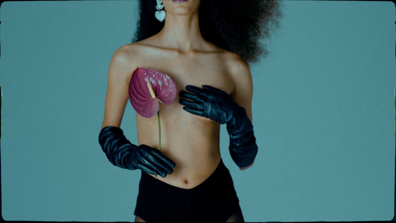 复古电影胶片色彩分级颗粒光晕模拟工具 Dehancer Pro OFX for AE/PR V7.1.1 Win/Mac破解版 插件预设 第13张-素材湾丨精选海外优质设计素材资源 复古电影胶片色彩分级颗粒光晕模拟工具 Dehancer Pro OFX for AE/PR V7.1.1 Win/Mac破解版 插件预设 sucaiwan.com