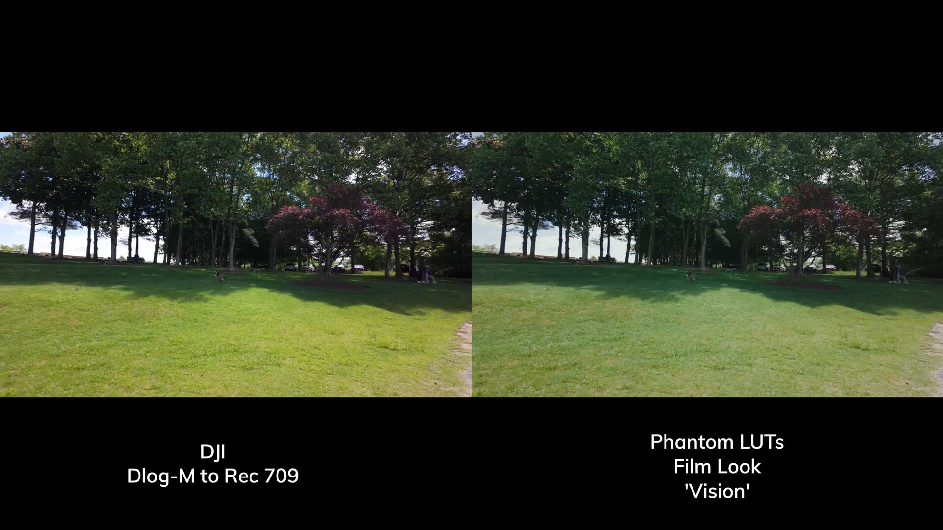 Phantom LUTs for Osmo Pocket 3 大疆Osmo Pocket 3转阿莱色彩LUTs调色预设 插件预设 第8张-素材湾丨精选海外优质设计素材资源 Phantom LUTs for Osmo Pocket 3 大疆Osmo Pocket 3转阿莱色彩LUTs调色预设 插件预设 sucaiwan.com