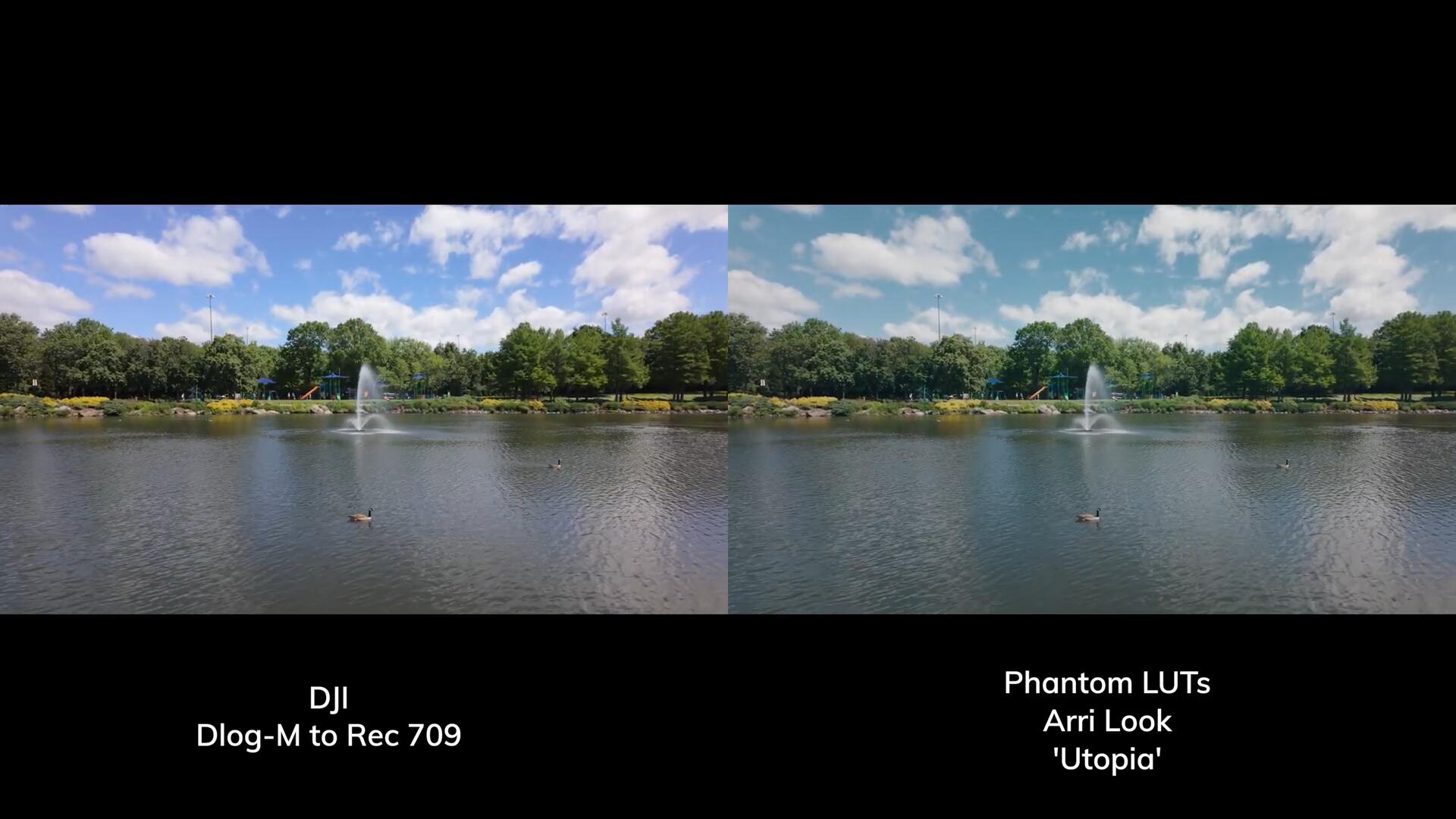 Phantom LUTs for Osmo Pocket 3 大疆Osmo Pocket 3转阿莱色彩LUTs调色预设 插件预设 第11张-素材湾丨精选海外优质设计素材资源 Phantom LUTs for Osmo Pocket 3 大疆Osmo Pocket 3转阿莱色彩LUTs调色预设 插件预设 sucaiwan.com