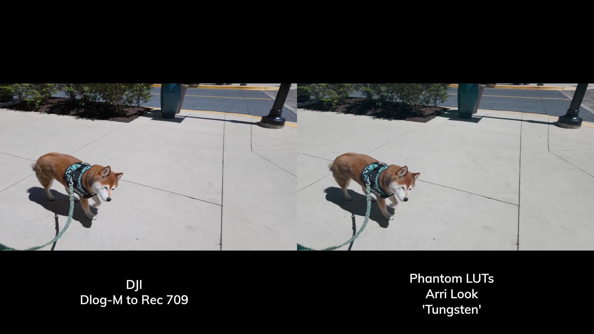 Phantom LUTs for Osmo Pocket 3 大疆Osmo Pocket 3转阿莱色彩LUTs调色预设 插件预设 第14张-素材湾丨精选海外优质设计素材资源 Phantom LUTs for Osmo Pocket 3 大疆Osmo Pocket 3转阿莱色彩LUTs调色预设 插件预设 sucaiwan.com