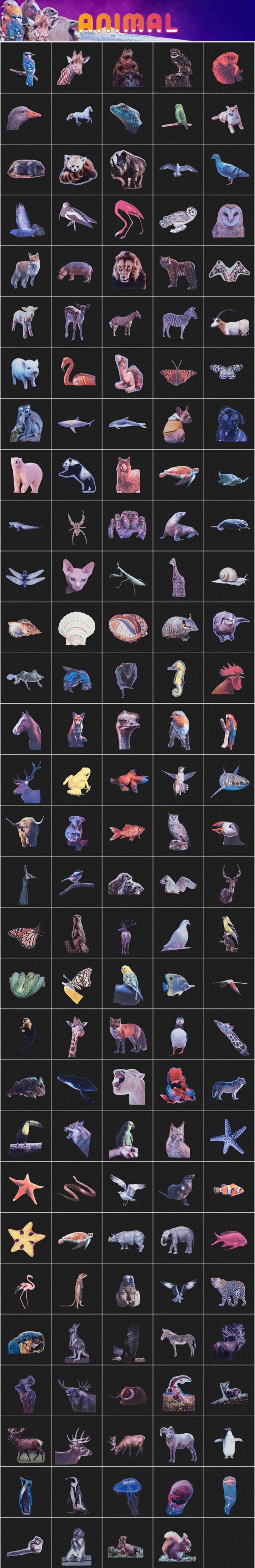 AE脚本:2400个创意拼贴艺术半色调字母五官雕塑杂志手工剪切元素排版折叠定格动画包 Collage Pack V5 影视音频 第21张-素材湾丨精选海外优质设计素材资源 AE脚本:2400个创意拼贴艺术半色调字母五官雕塑杂志手工剪切元素排版折叠定格动画包 Collage Pack V5 影视音频 sucaiwan.com