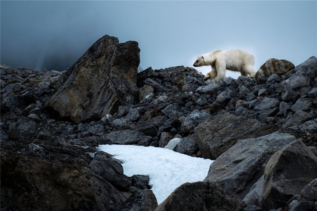 40种复古怀旧风格光泽纹理电影美学色调渐晕颗粒LR调色预设 Rebecca Lily - PRO SET VII 插件预设 第6张-素材湾丨精选海外优质设计素材资源 40种复古怀旧风格光泽纹理电影美学色调渐晕颗粒LR调色预设 Rebecca Lily - PRO SET VII 插件预设 sucaiwan.com