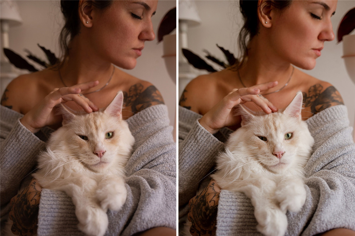 10款高级逆光梦幻温暖柔光私房色调LR预设DNG预设 INDOOR LIGHTS 插件预设 第4张-素材湾丨精选海外优质设计素材资源 10款高级逆光梦幻温暖柔光私房色调LR预设DNG预设 INDOOR LIGHTS 插件预设 sucaiwan.com