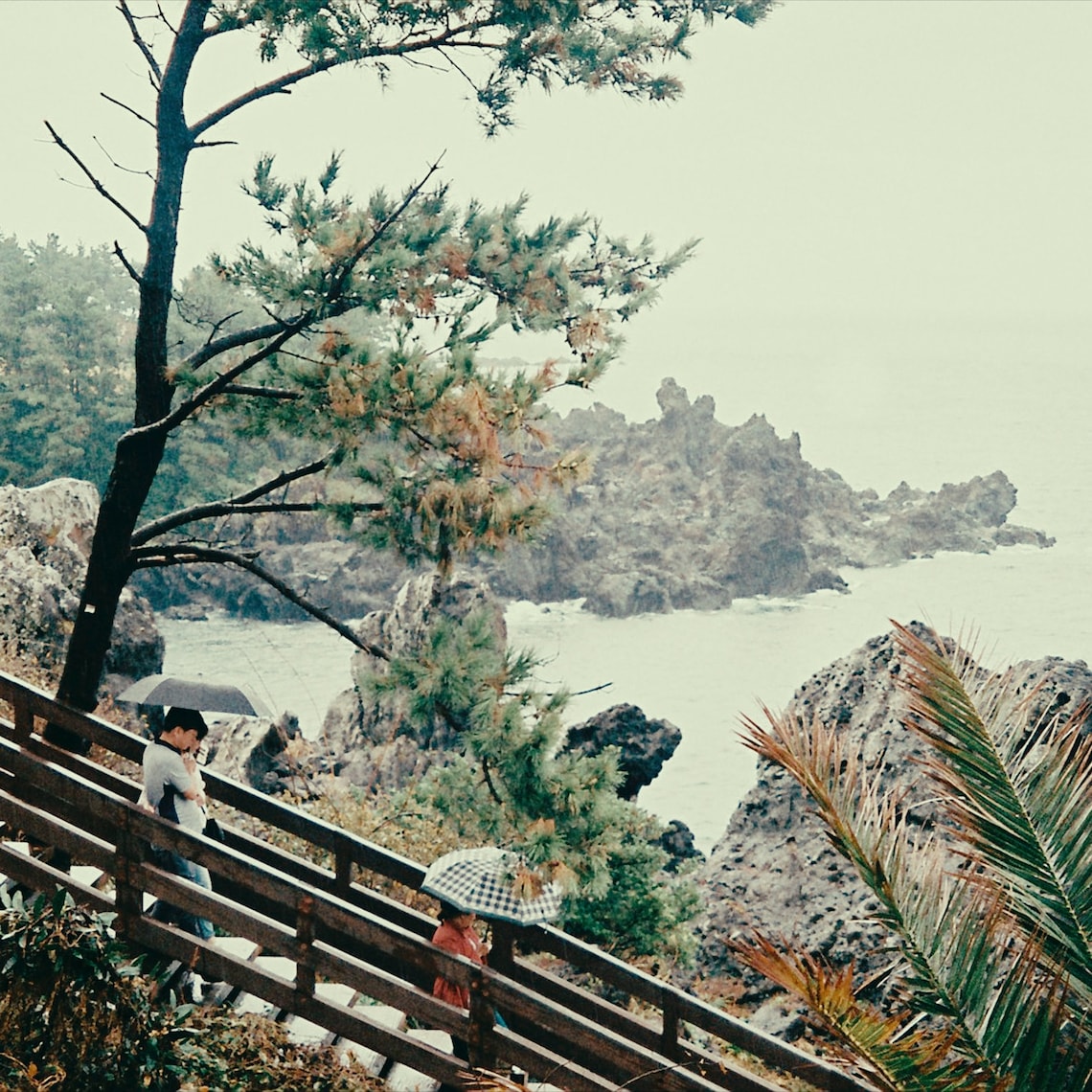 Analogica.lab 真实复古胶片温暖色彩模拟LUT调色预设包 Super16 Fuji 3513 16MM Film Emulation 插件预设 第2张-素材湾丨精选海外优质设计素材资源 Analogica.lab 真实复古胶片温暖色彩模拟LUT调色预设包 Super16 Fuji 3513 16MM Film Emulation 插件预设 sucaiwan.com