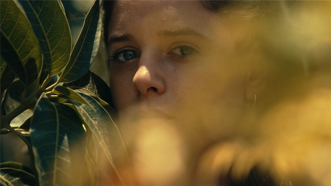 JVKE 达芬奇复古电影胶片仿真颗粒光晕模拟调色节点预设包 16MM FILM EMULATION POWERGRADE 插件预设 第15张-素材湾丨精选海外优质设计素材资源 JVKE 达芬奇复古电影胶片仿真颗粒光晕模拟调色节点预设包 16MM FILM EMULATION POWERGRADE 插件预设 sucaiwan.com