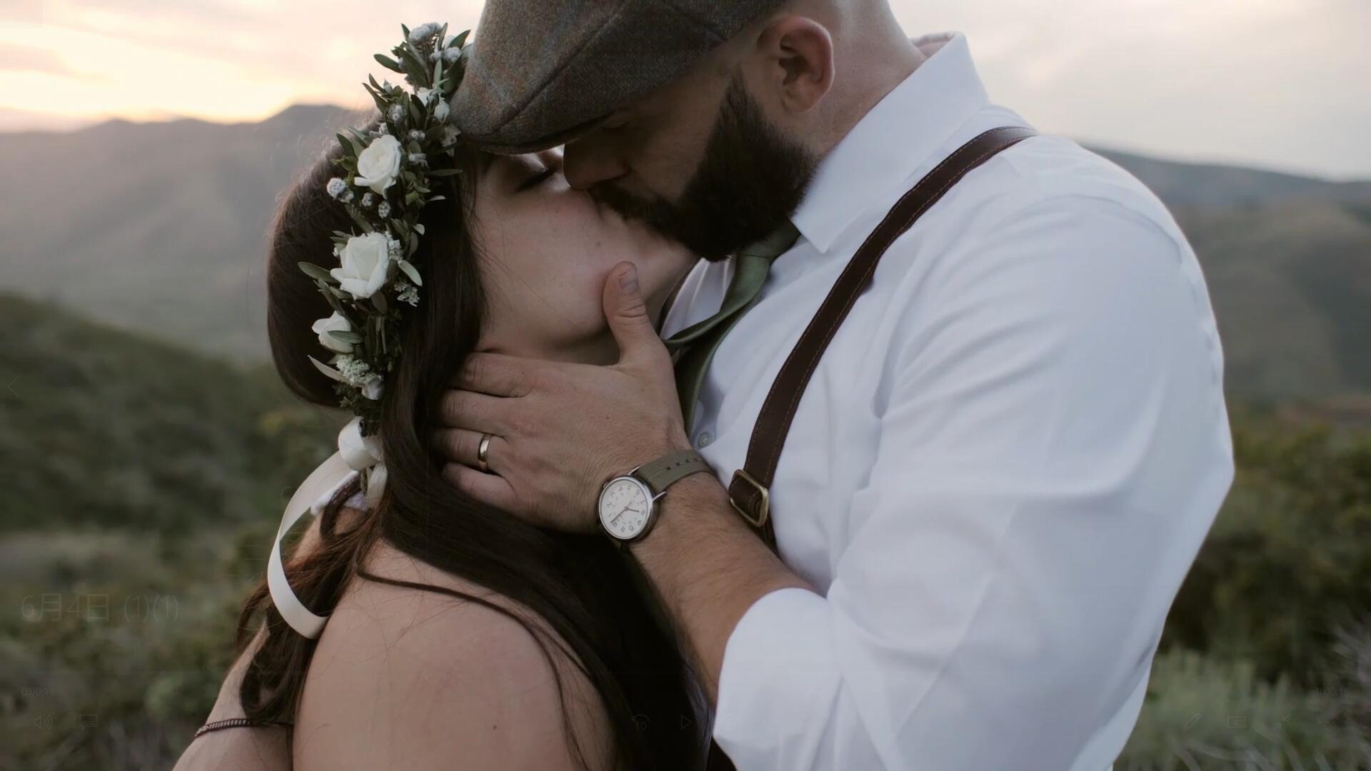 优雅浪漫唯美婚礼旅拍人像摄影色彩分级LUT预设 David Reynosa - Forestry Films Native luts 插件预设 sucaiwan.com