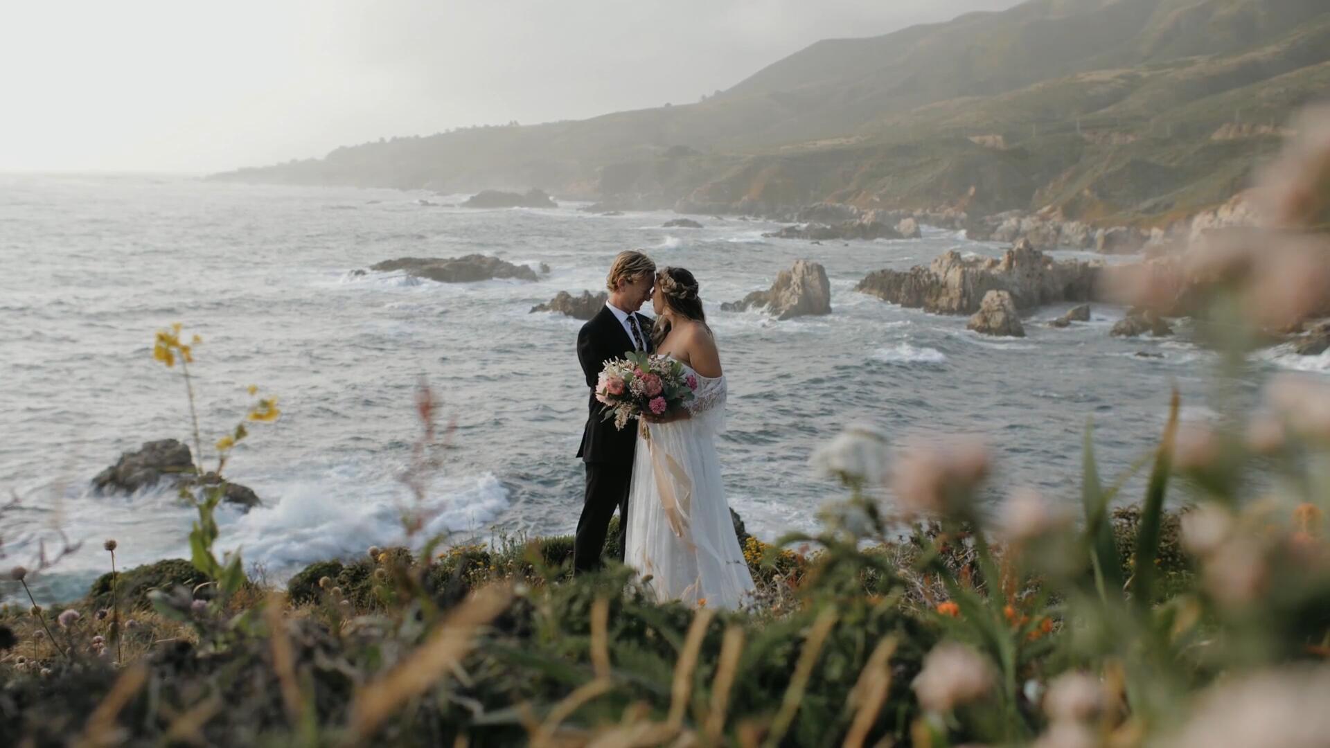 优雅浪漫唯美婚礼旅拍人像摄影色彩分级LUT预设 David Reynosa - Forestry Films Native luts 插件预设 sucaiwan.com