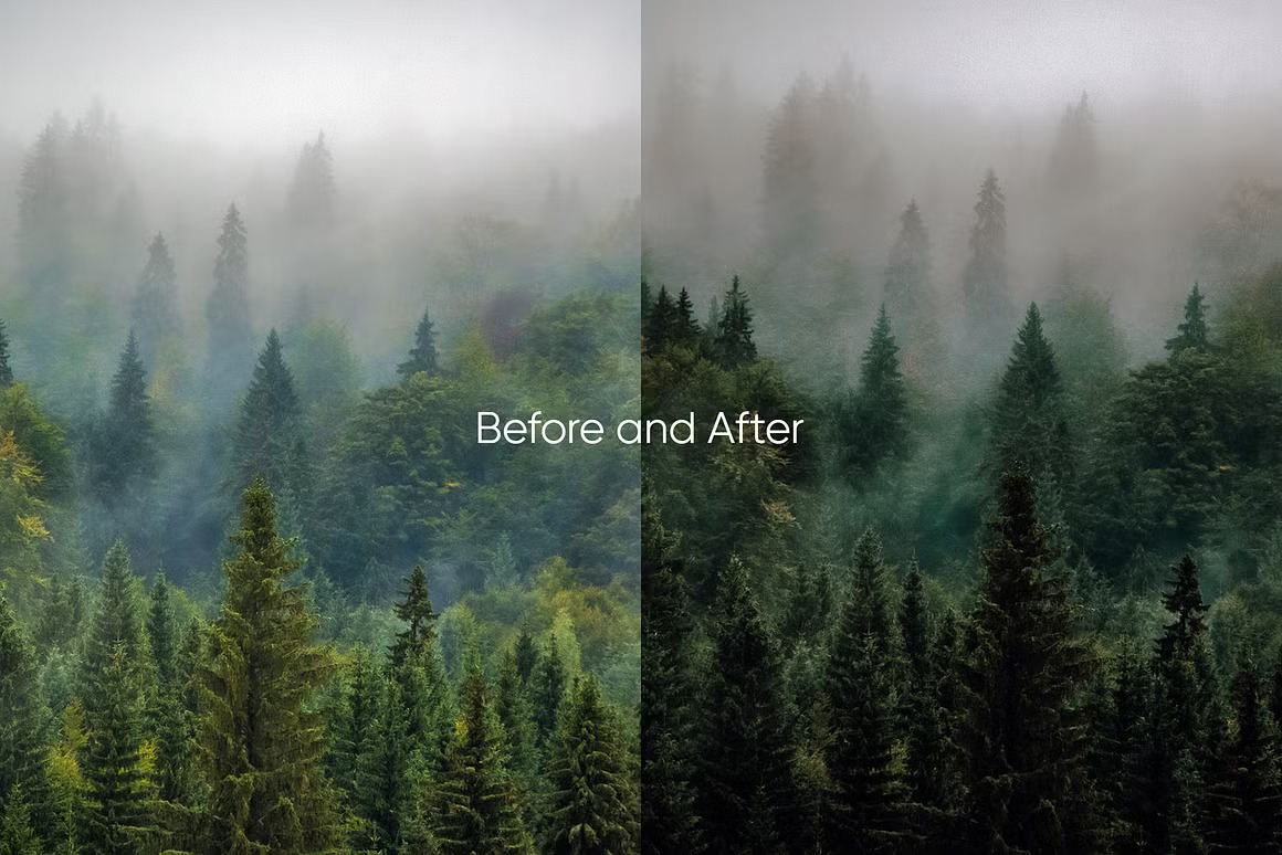 LR/PS预设-LOU & MARKS 清新森系人像Lightroom预设 Evergreen Presets 插件预设 第8张-素材湾丨精选海外优质设计素材资源 LR/PS预设-LOU & MARKS 清新森系人像Lightroom预设 Evergreen Presets 插件预设 sucaiwan.com