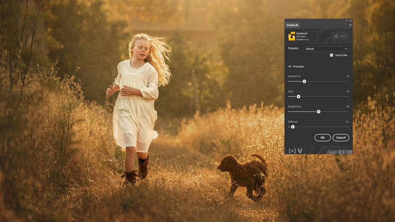 PS插件-胶片颗粒工具箱PROEDU -GrainLab for Photoshop汉化版插件 附教程 插件预设 第3张-素材湾丨精选海外优质设计素材资源 PS插件-胶片颗粒工具箱PROEDU -GrainLab for Photoshop汉化版插件 附教程 插件预设 sucaiwan.com