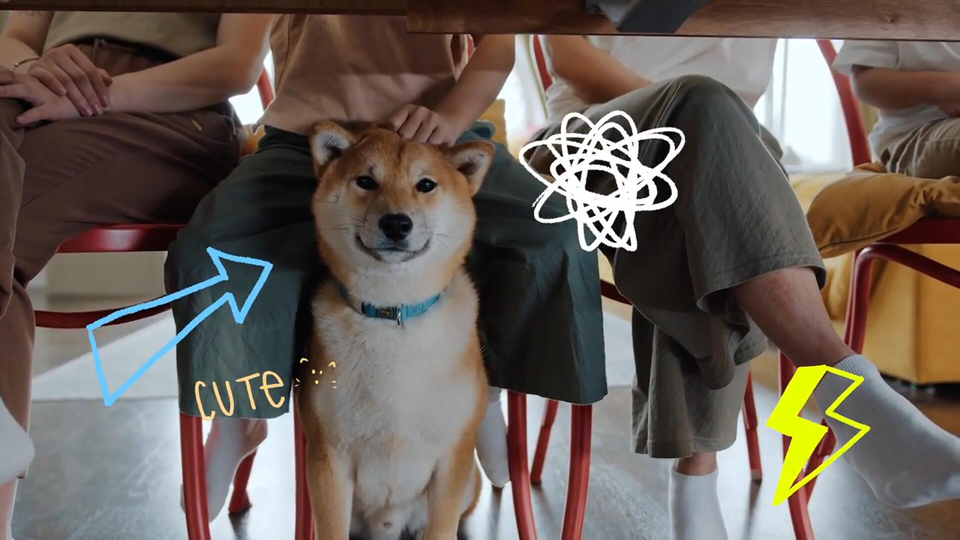 FCPX插件：50个复古夏日多彩涂鸦艺术拼贴手绘笔迹综艺VLOG动画元素插件包 , sucaiwan.com