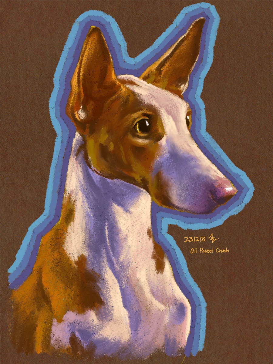 Procreate笔刷:60款专业厚涂手绘油画棒Procreate画笔奶油质感纹理肌理调色板笔刷绘画套装 COFE’s Chunky Oil Pastel Pack for Procreate , 第5张-素材湾丨精选海外优质设计素材资源 Procreate笔刷:60款专业厚涂手绘油画棒Procreate画笔奶油质感纹理肌理调色板笔刷绘画套装 COFE’s Chunky Oil Pastel Pack for Procreate , sucaiwan.com