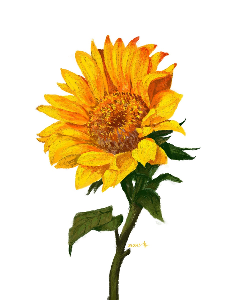 Procreate笔刷:60款专业厚涂手绘油画棒Procreate画笔奶油质感纹理肌理调色板笔刷绘画套装 COFE’s Chunky Oil Pastel Pack for Procreate , 第7张-素材湾丨精选海外优质设计素材资源 Procreate笔刷:60款专业厚涂手绘油画棒Procreate画笔奶油质感纹理肌理调色板笔刷绘画套装 COFE’s Chunky Oil Pastel Pack for Procreate , sucaiwan.com