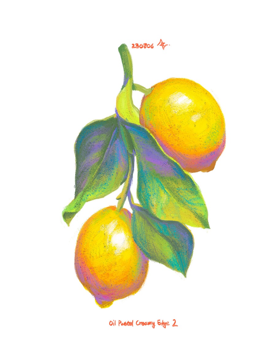 Procreate笔刷:60款专业厚涂手绘油画棒Procreate画笔奶油质感纹理肌理调色板笔刷绘画套装 COFE’s Chunky Oil Pastel Pack for Procreate , 第11张-素材湾丨精选海外优质设计素材资源 Procreate笔刷:60款专业厚涂手绘油画棒Procreate画笔奶油质感纹理肌理调色板笔刷绘画套装 COFE’s Chunky Oil Pastel Pack for Procreate , sucaiwan.com