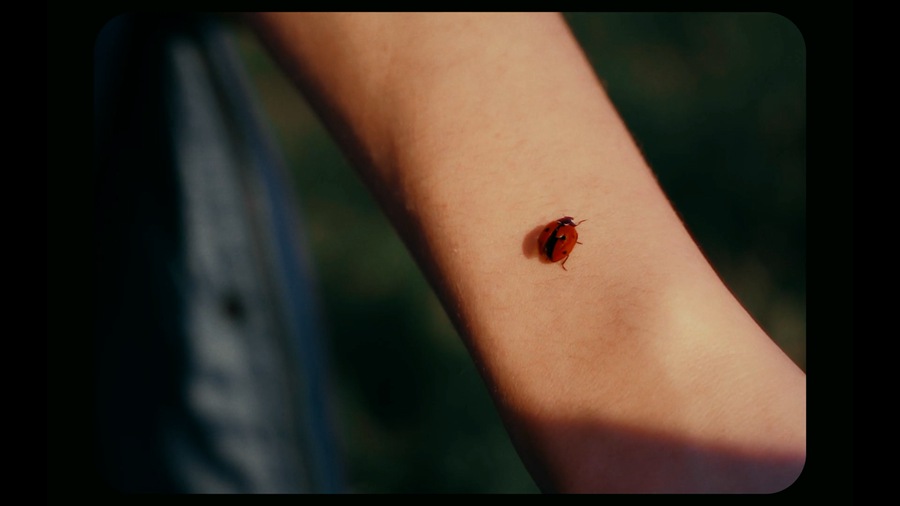 Veres Deni Alex 9种老式家庭录像Super 8mm胶片模拟达芬奇调色节点预设包 Super 8mm Home Film Emulation Power Grades 插件预设 第11张-素材湾丨精选海外优质设计素材资源 Veres Deni Alex 9种老式家庭录像Super 8mm胶片模拟达芬奇调色节点预设包 Super 8mm Home Film Emulation Power Grades 插件预设 sucaiwan.com