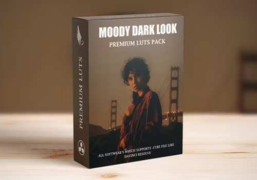 LUT预设-10组黑暗美学都市喜怒无常风景电影外观调色 Dark Aesthetic Urban Moody Landscape Film Look Cinematic LUTs 插件预设 sucaiwan.com