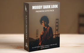 LUT预设-10组黑暗美学都市喜怒无常风景电影外观调色 Dark Aesthetic Urban Moody Landscape Film Look Cinematic LUTs