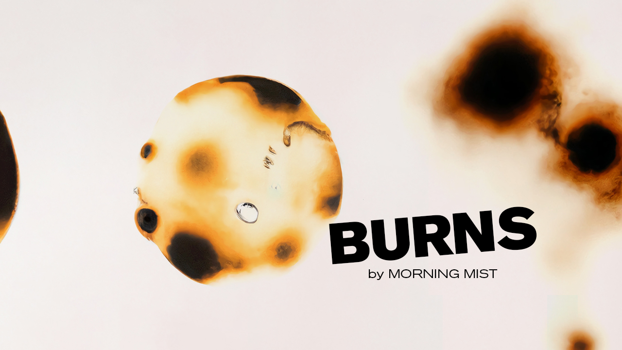 复古做旧艺术烧伤灼伤纸张纹理素材合集 Burns 2.0 by Morning Mist 图片素材 sucaiwan.com