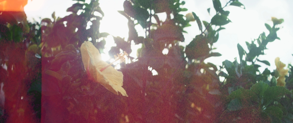 Tropic Colour 独特复古胶卷薄膜燃烧漏光刻录8/16/35mm视频素材 FILM BURNS VOL.1 影视音频 第4张-素材湾丨精选海外优质设计素材资源 Tropic Colour 独特复古胶卷薄膜燃烧漏光刻录8/16/35mm视频素材 FILM BURNS VOL.1 影视音频 sucaiwan.com