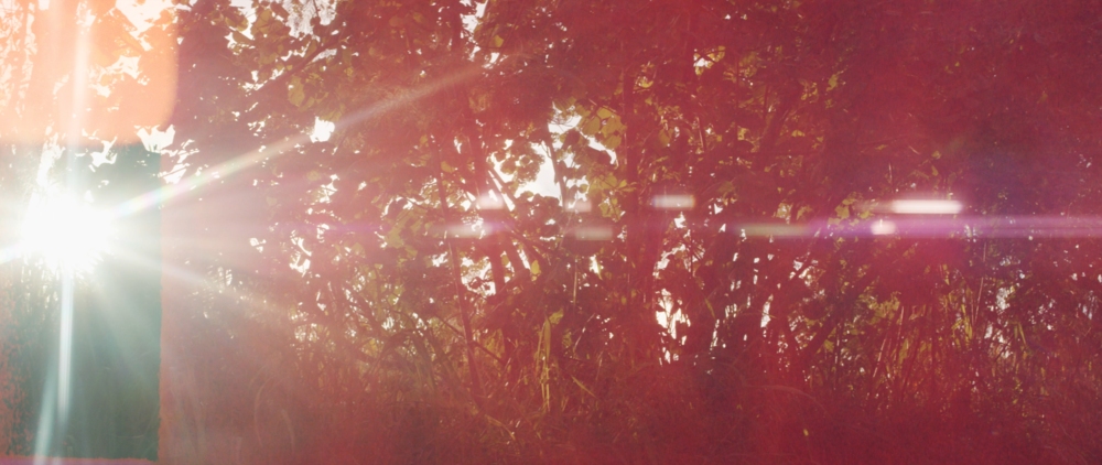 Tropic Colour 独特复古胶卷薄膜燃烧漏光刻录8/16/35mm视频素材 FILM BURNS VOL.1 影视音频 第6张-素材湾丨精选海外优质设计素材资源 Tropic Colour 独特复古胶卷薄膜燃烧漏光刻录8/16/35mm视频素材 FILM BURNS VOL.1 影视音频 sucaiwan.com