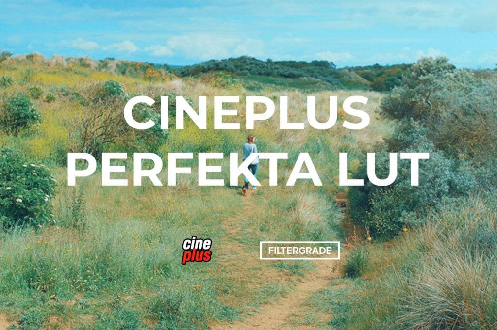 电影质感婚礼摄影视频灰片还原调色LUT预设 Cineplus – Perfekta LUT 插件预设 sucaiwan.com