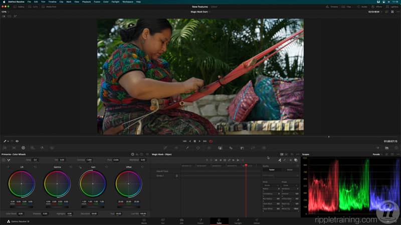 达芬奇17/18零基础入门到精通教程高级调色课程 RippleTraining - Advanced Color Grading in DaVinci Resolve 设计教程 第2张-素材湾丨精选海外优质设计素材资源 达芬奇17/18零基础入门到精通教程高级调色课程 RippleTraining - Advanced Color Grading in DaVinci Resolve 设计教程 sucaiwan.com