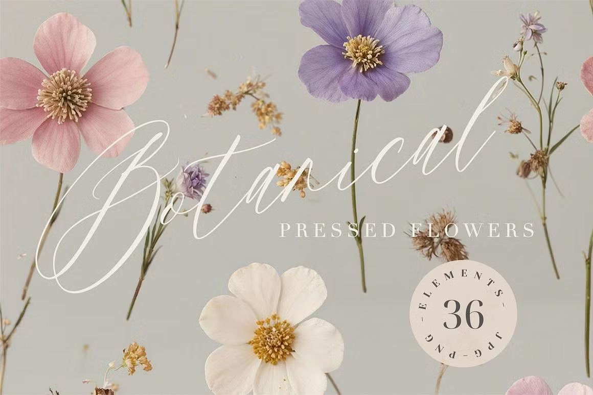 36款现代优雅婚礼请柬贺卡封面设计花卉背景图PNG/JPG格式素材 Pressed Flowers Elements 图片素材 sucaiwan.com