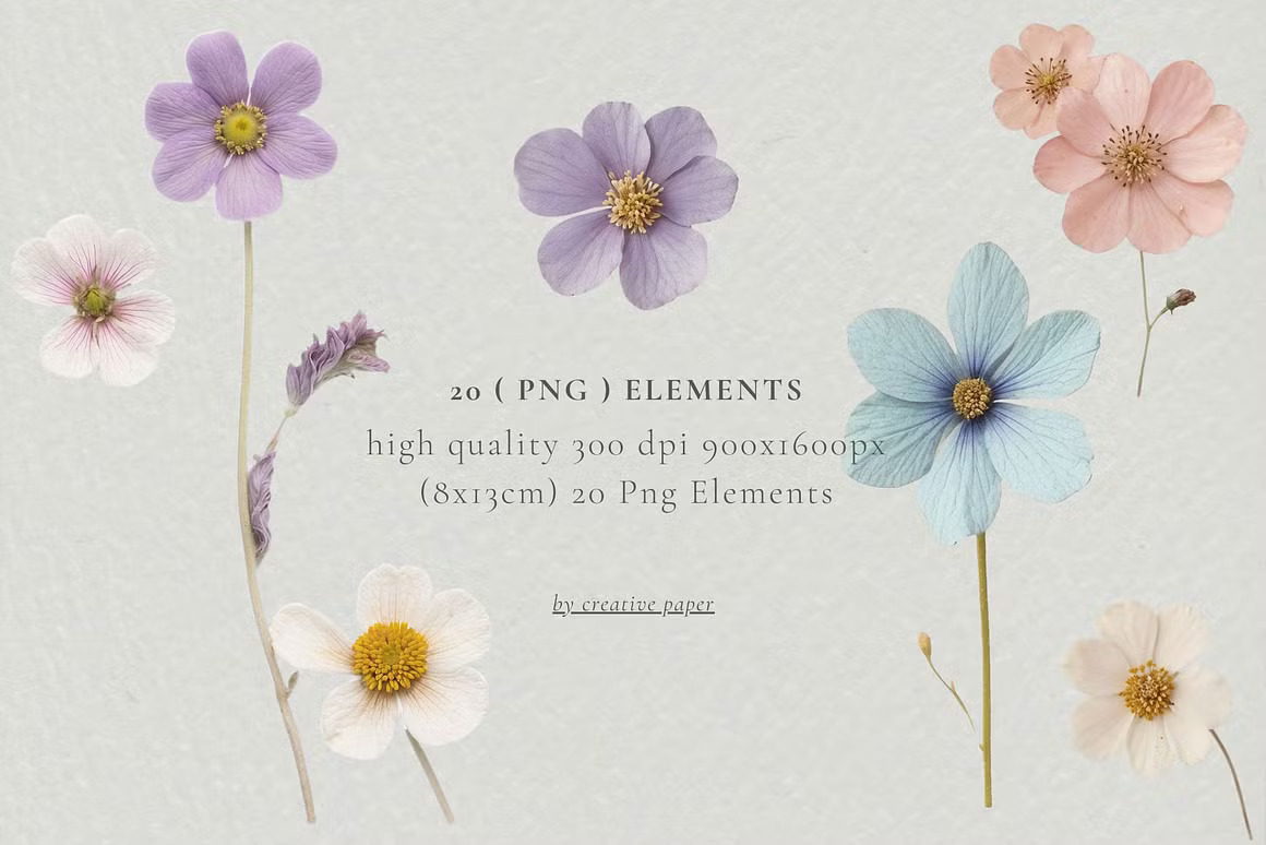 36款现代优雅婚礼请柬贺卡封面设计花卉背景图PNG/JPG格式素材 Pressed Flowers Elements 图片素材 sucaiwan.com