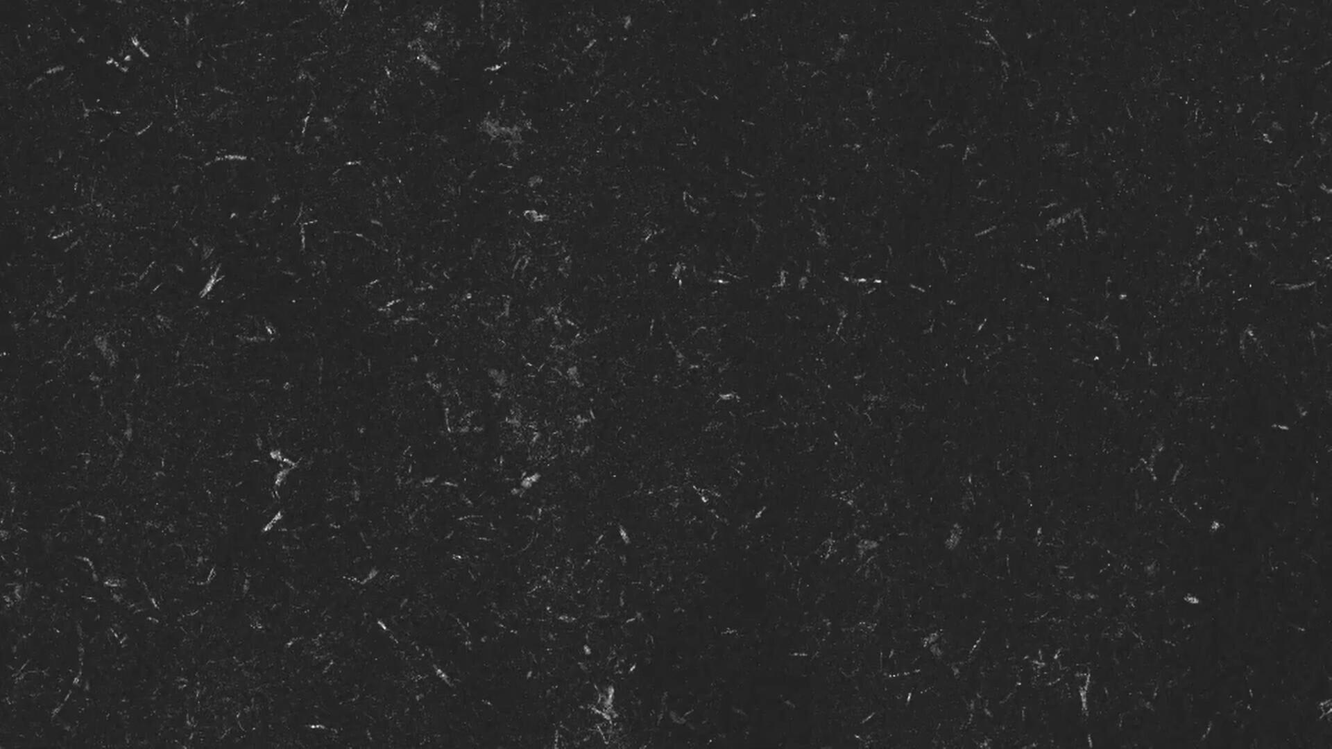 复古做旧纸张磨损褶皱颗粒折痕撕裂牛皮纸背景肌理纹理动画PR预设包 , 第4张-素材湾丨精选海外优质设计素材资源 复古做旧纸张磨损褶皱颗粒折痕撕裂牛皮纸背景肌理纹理动画PR预设包 , sucaiwan.com