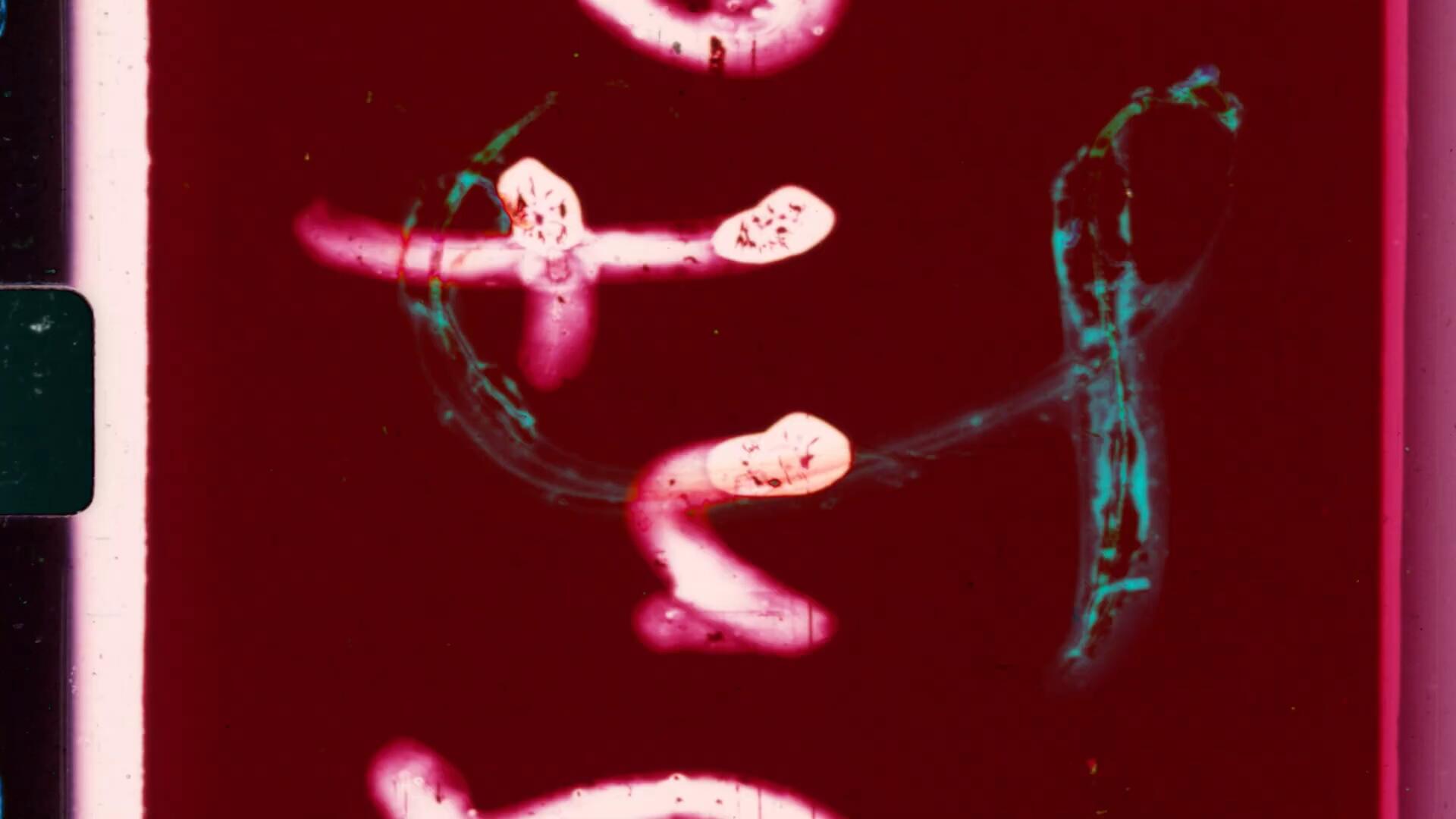 AcidBite - Film Leaders 4K 97种老式胶片扫描颗粒纹理脏污引线伪影叠加转场4k视频素材 影视音频 sucaiwan.com