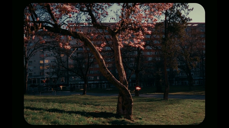 Veres Deni Alex 9种老式家庭录像Super 8mm胶片模拟达芬奇调色节点预设包 Super 8mm Home Film Emulation Power Grades 插件预设 第10张-素材湾丨精选海外优质设计素材资源 Veres Deni Alex 9种老式家庭录像Super 8mm胶片模拟达芬奇调色节点预设包 Super 8mm Home Film Emulation Power Grades 插件预设 sucaiwan.com