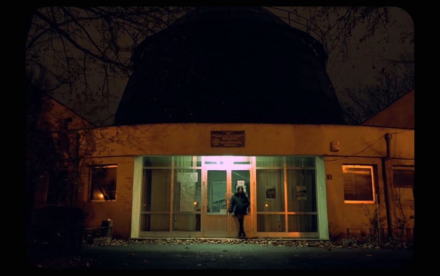 Veres Deni Alex 9种老式家庭录像Super 8mm胶片模拟达芬奇调色节点预设包 Super 8mm Home Film Emulation Power Grades 插件预设 第17张-素材湾丨精选海外优质设计素材资源 Veres Deni Alex 9种老式家庭录像Super 8mm胶片模拟达芬奇调色节点预设包 Super 8mm Home Film Emulation Power Grades 插件预设 sucaiwan.com