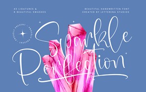 现代优雅社交媒体海报品牌LOGO设计PSAI手写签名英文字体安装包下载 Sparkle Perfection Handwritten Font