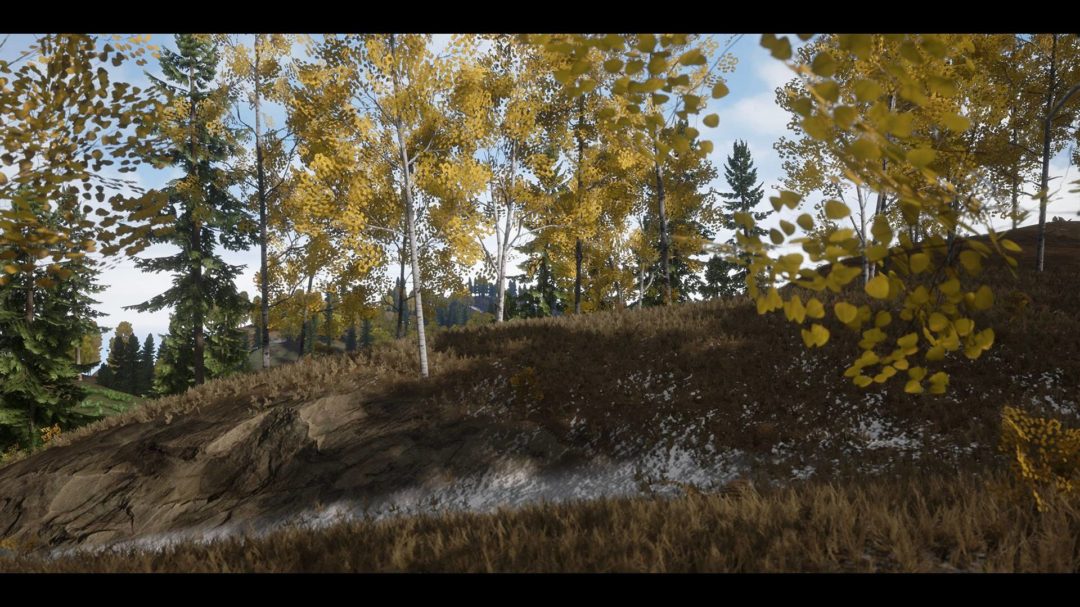 UE素材 虚拟引擎高山森林公路场景3D模型素材 Unreal Engine Realistic Forest Pack 样机素材 第13张-素材湾丨精选海外优质设计素材资源 UE素材 虚拟引擎高山森林公路场景3D模型素材 Unreal Engine Realistic Forest Pack 样机素材 sucaiwan.com