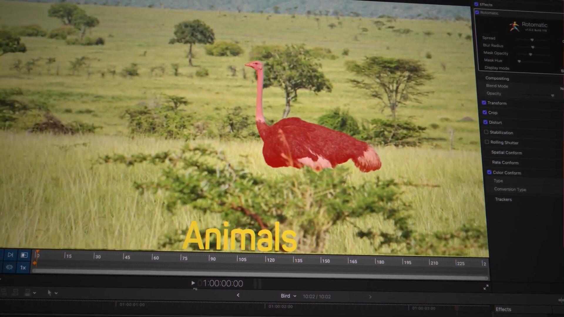 FCPX插件：全新智能Ai对象检测跟踪人物抠像遮罩蒙版高亮显示输出效果 Rotomatic , sucaiwan.com