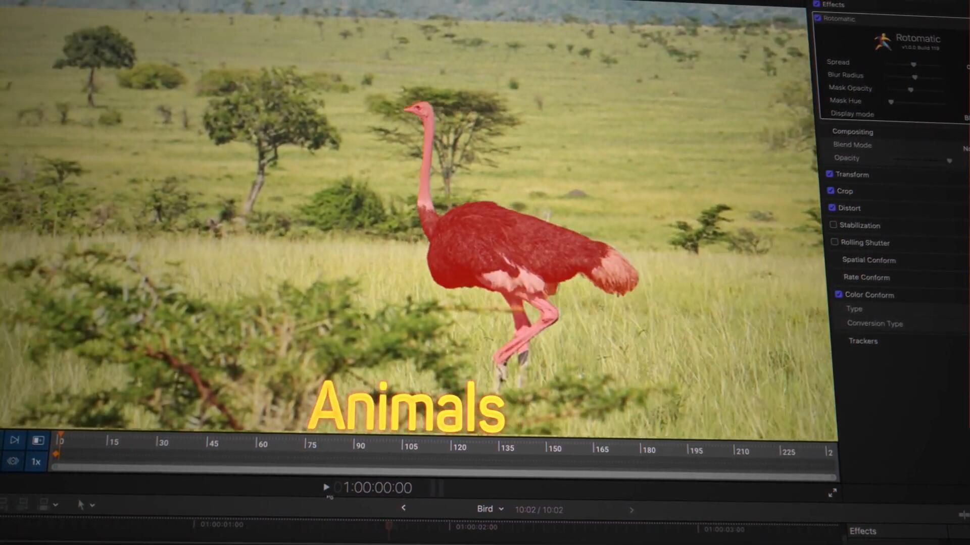 FCPX插件：全新智能Ai对象检测跟踪人物抠像遮罩蒙版高亮显示输出效果 Rotomatic , sucaiwan.com