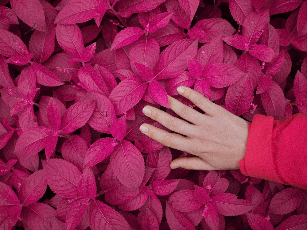 柯达富士胶片仿真模拟电影美学颗粒纹理效果照片调色Capture One飞思预设 RNI All Films 5 – Pro for Capture One / C1 插件预设 第5张-素材湾丨精选海外优质设计素材资源 柯达富士胶片仿真模拟电影美学颗粒纹理效果照片调色Capture One飞思预设 RNI All Films 5 – Pro for Capture One / C1 插件预设 sucaiwan.com