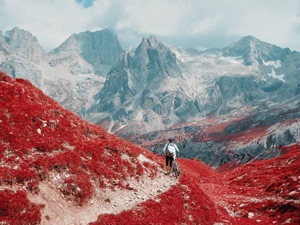 柯达富士胶片仿真模拟电影美学颗粒纹理效果照片调色Capture One飞思预设 RNI All Films 5 – Pro for Capture One / C1 插件预设 第6张-素材湾丨精选海外优质设计素材资源 柯达富士胶片仿真模拟电影美学颗粒纹理效果照片调色Capture One飞思预设 RNI All Films 5 – Pro for Capture One / C1 插件预设 sucaiwan.com