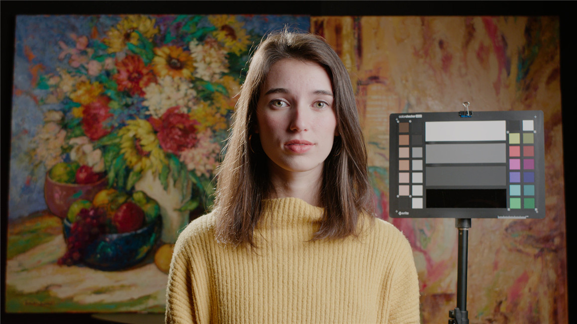 Emotive Color 松下GH5转阿莱色彩LUT调色预设包 GH5 CONVERTS ALEXA EMOTIVE COLOR GHALEX LUTS 插件预设 sucaiwan.com